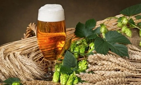 精釀啤酒設備廠(chǎng)告訴你怎樣從外觀(guān)檢查發(fā)酵情況