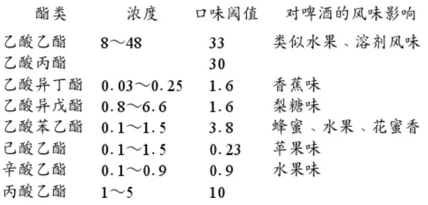 精釀啤酒設備,啤酒廠(chǎng)設備,開(kāi)辦啤酒廠(chǎng),發(fā)酵，錐形罐